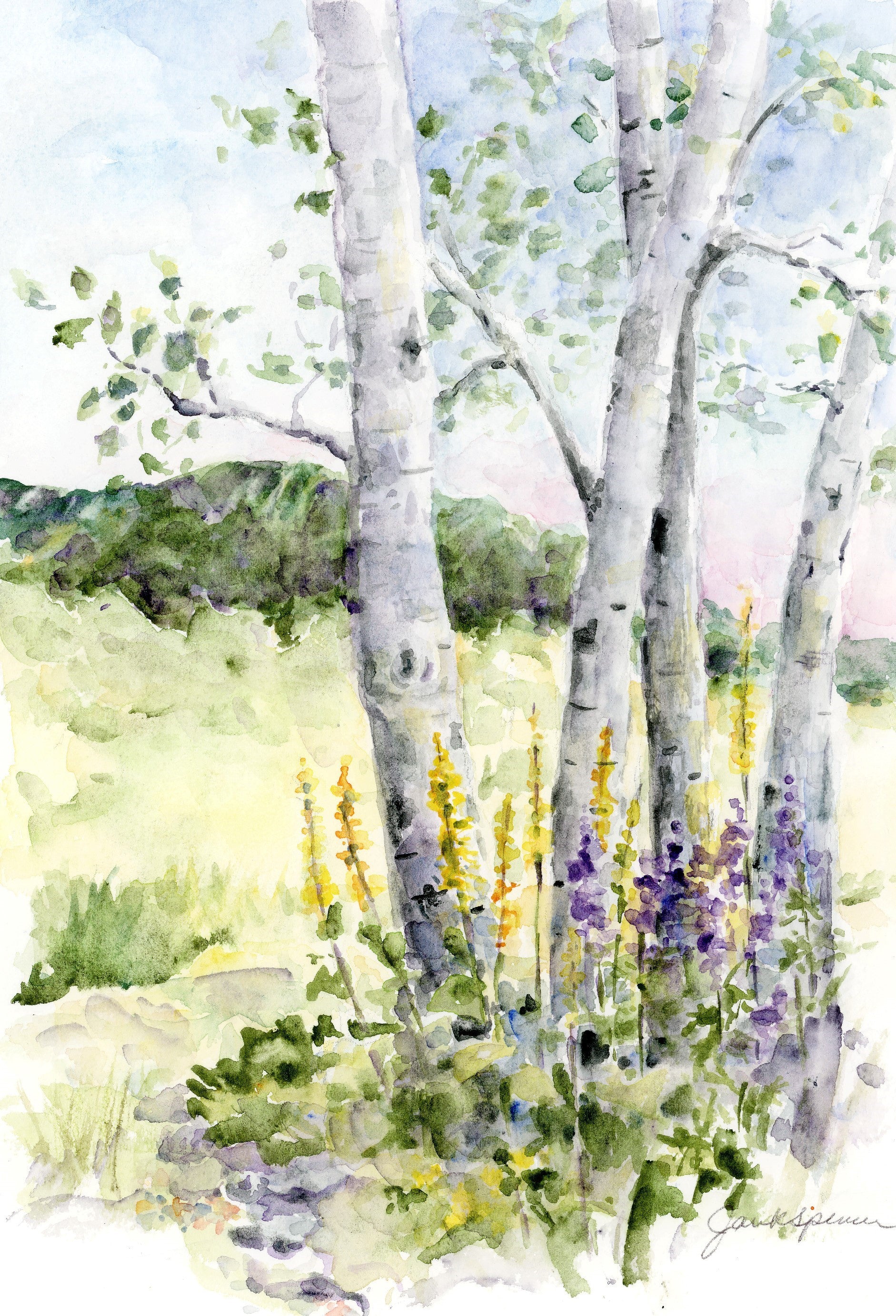Jan Spencer - Watercolor Greeting Card - Purple-Skirted Aspen