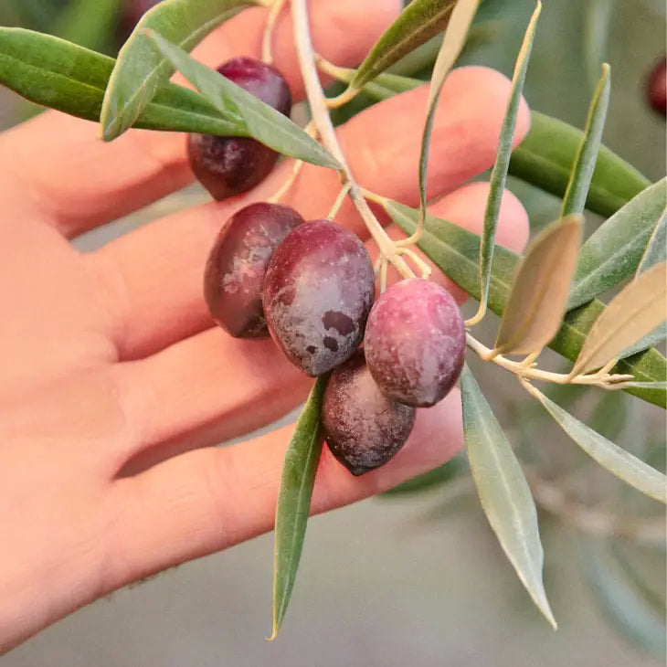 Graza - Sizzle - Olive Oil