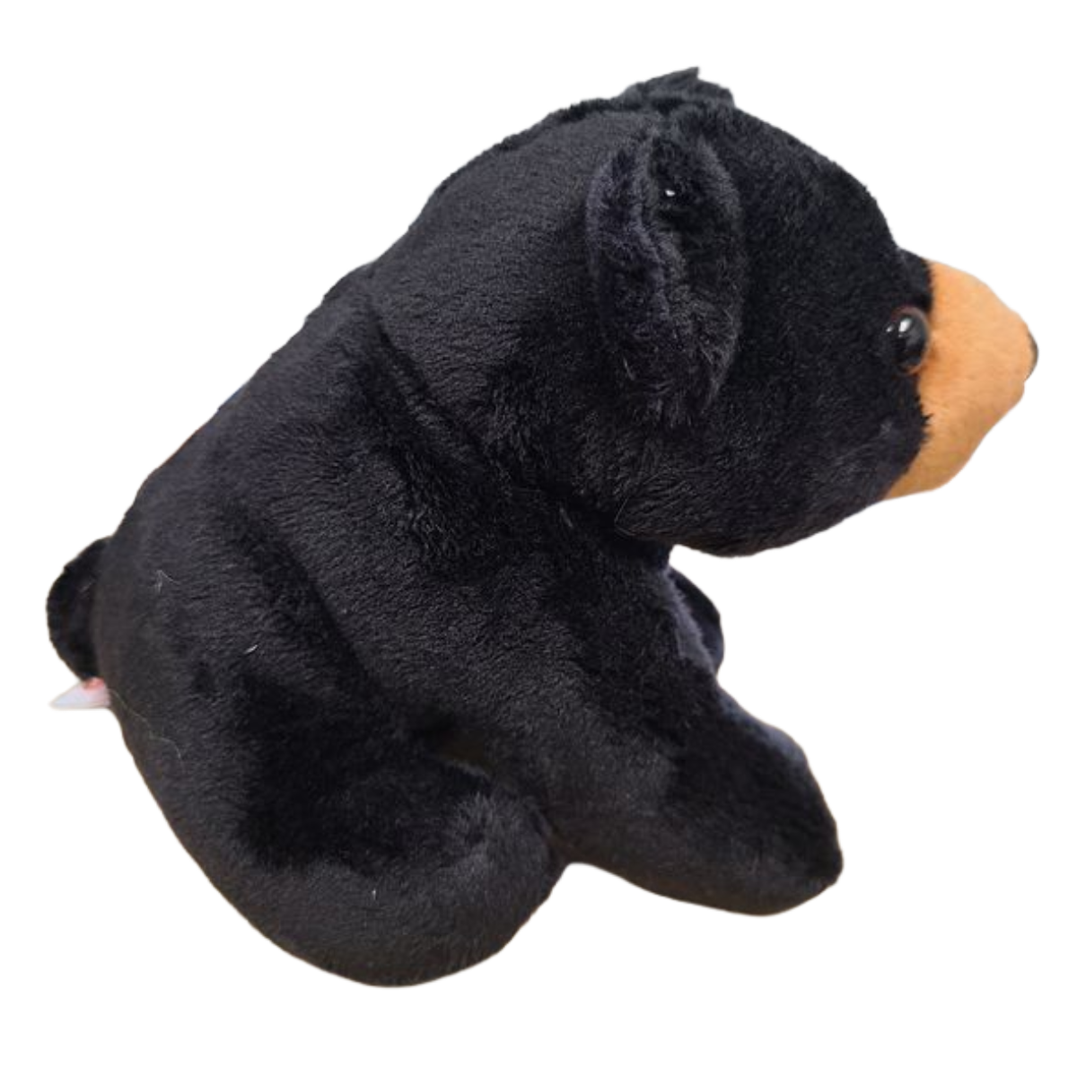 Canned Gifts - Russ The Canned Black Bear - Stuffed Animal