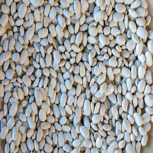 Rancho Gordo - Ayocote Blanco Bean