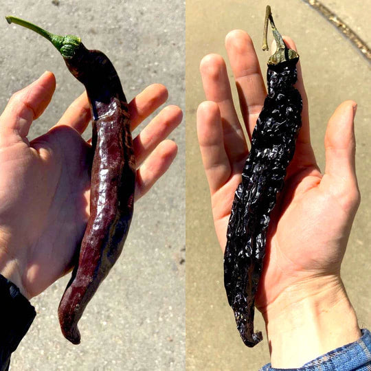 Burlap & Barrel - Pasilla Chili Flakes