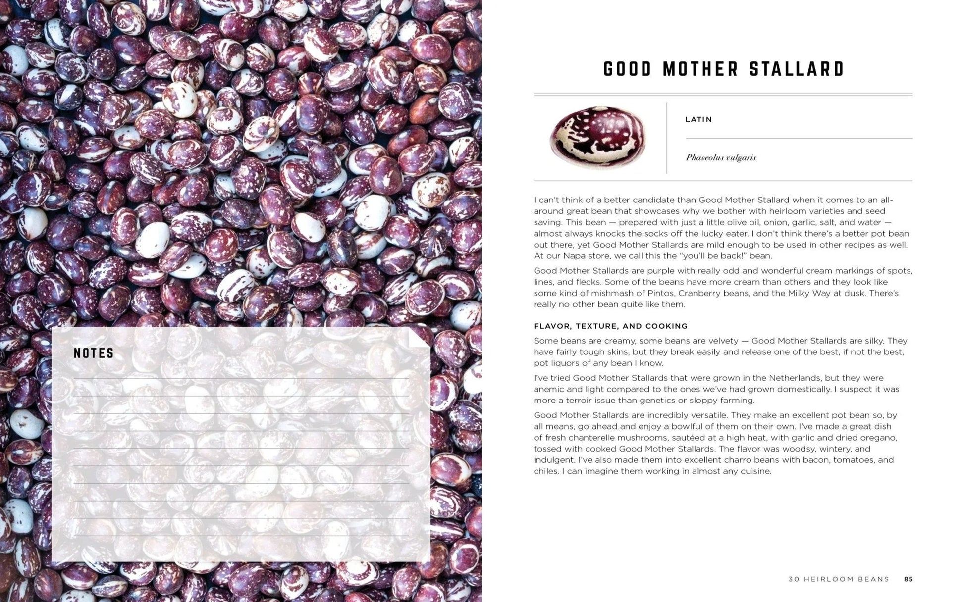 Rancho Gordo - The Rancho Gordo Heirloom Bean Guide