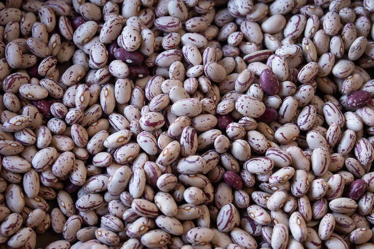 Rancho Gordo - Cranberry Bean
