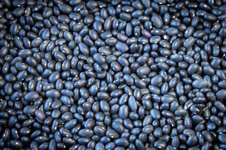 Rancho Gordo - Midnight Black Bean