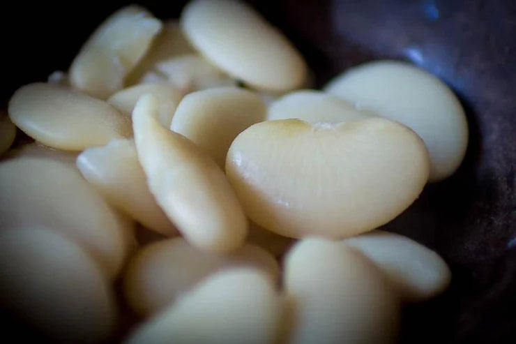 Rancho Gordo - Large White Lima Bean