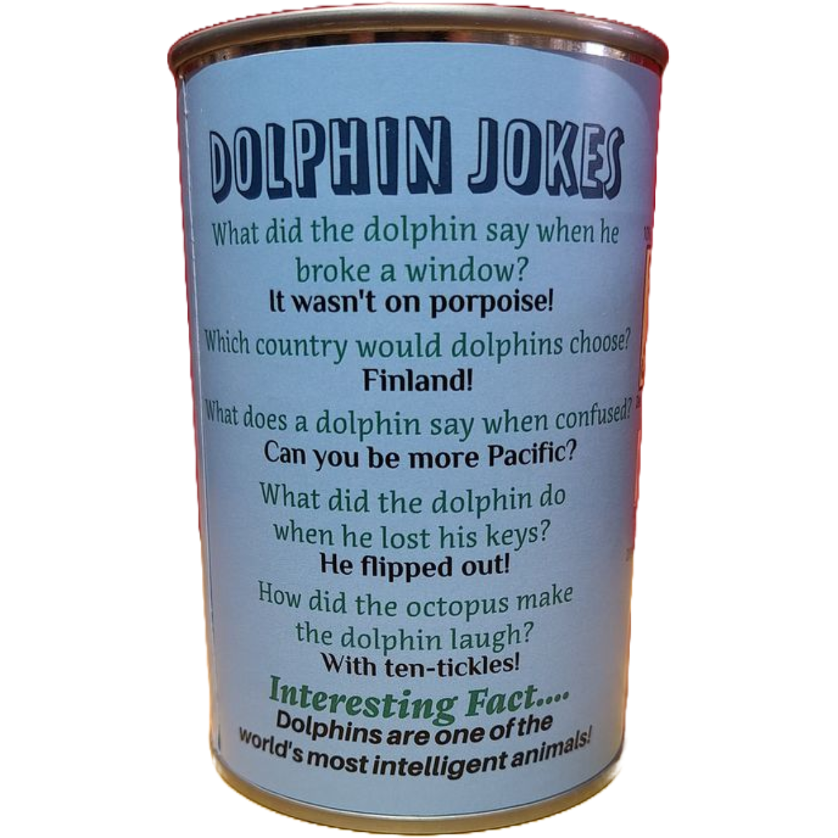 Canned Gifts - Flip The Canned Dolphin - Stuffed Animal