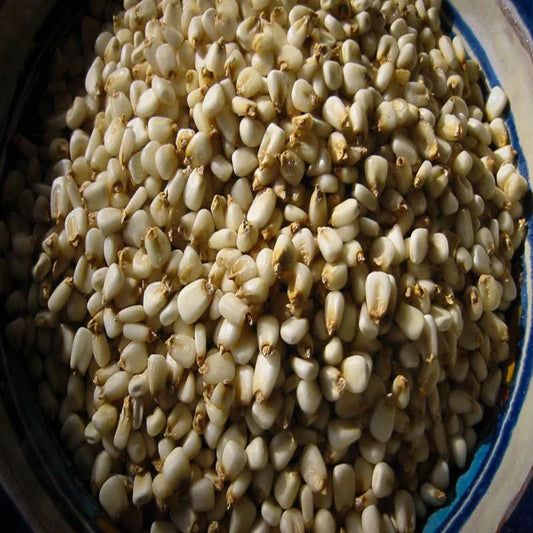 Rancho Gordo - Prepared Hominy White Corn Posole