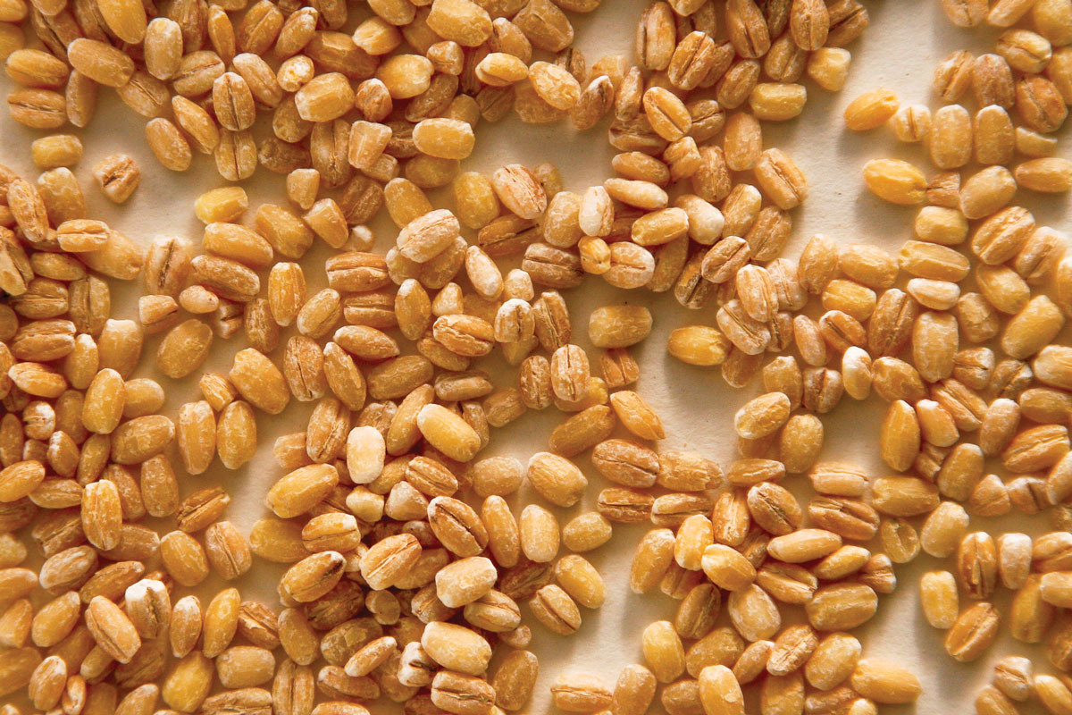 Zursun - Heirloom Pearl Barley - 1.5 lb.