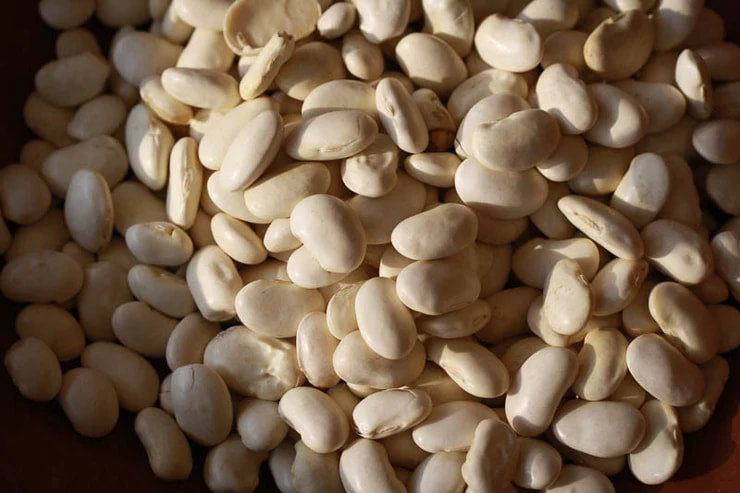 Rancho Gordo - Cassoulet Bean