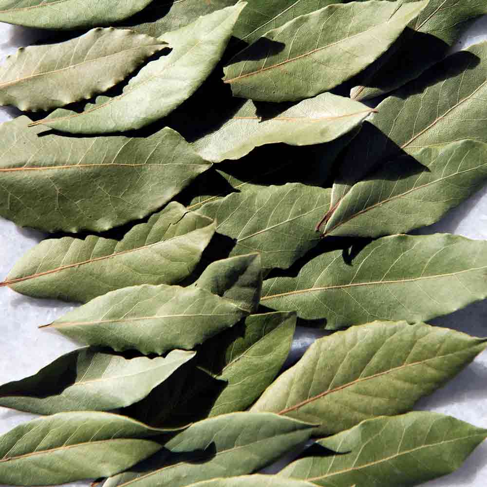 Daphnis And Chloe - Selected Bay Leaves - Glass Jar - 6 g