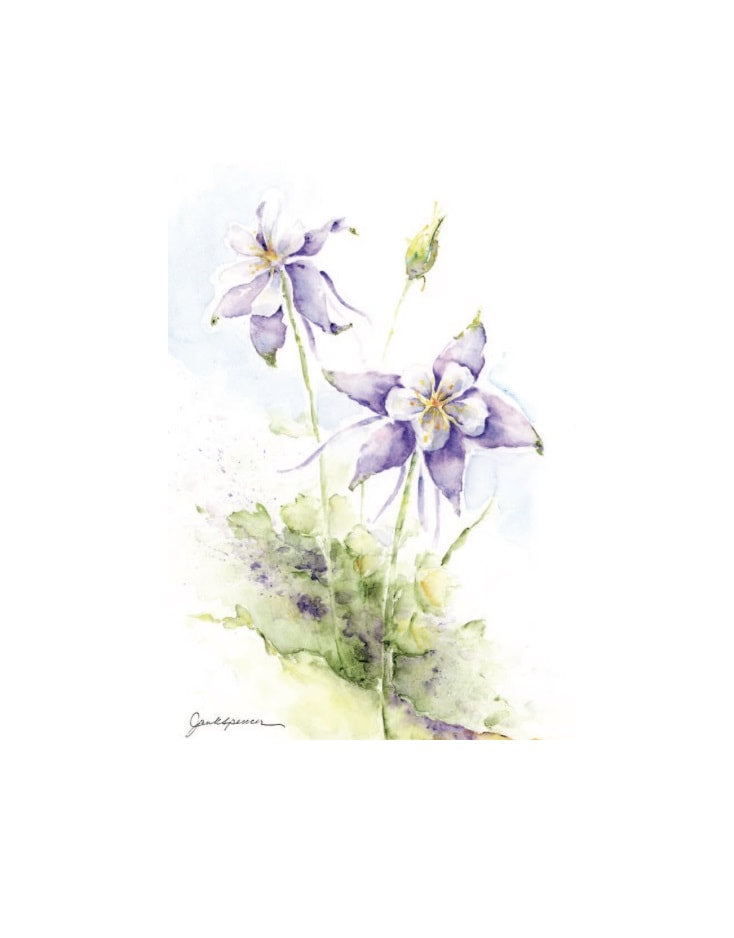 Jan Spencer - Watercolor Greeting Card - Sarvis Creek Columbines