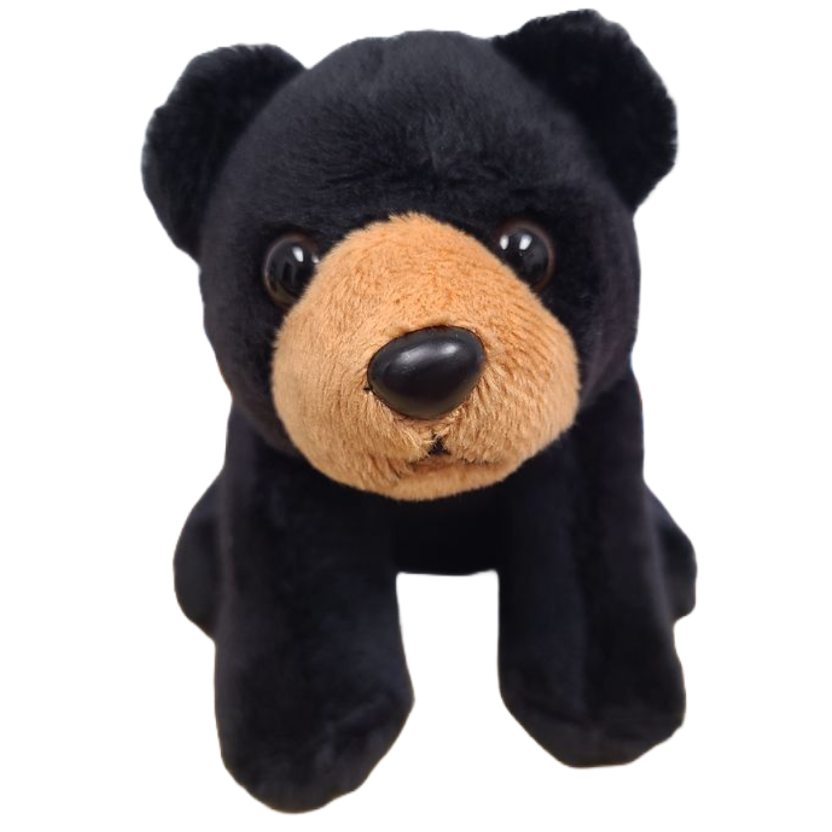 Canned Gifts - Russ The Canned Black Bear - Stuffed Animal