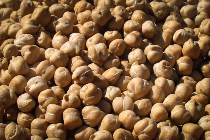 Rancho Gordo - Garbanzo Bean
