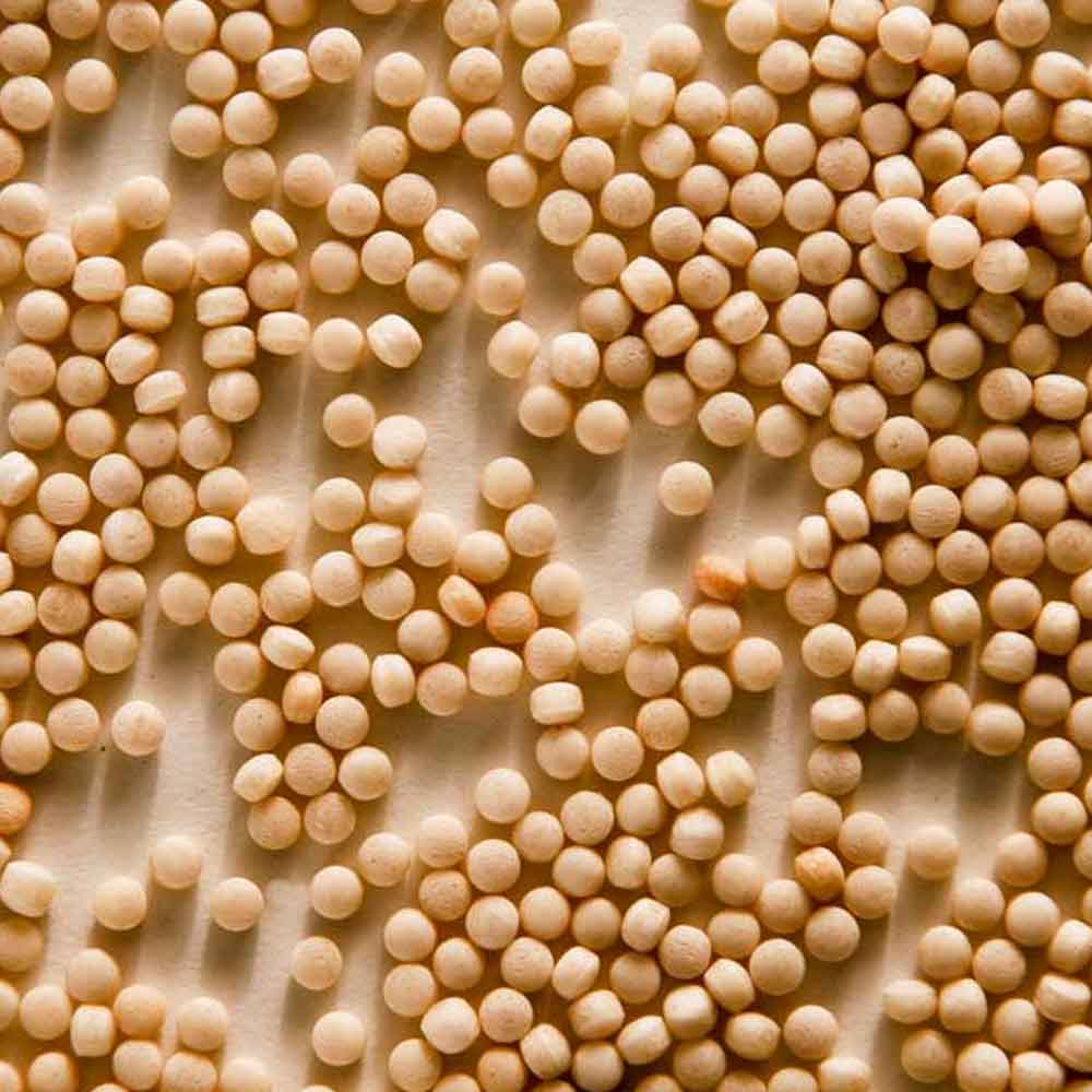 Zursun - Heirloom Grain Couscous - 20 oz.