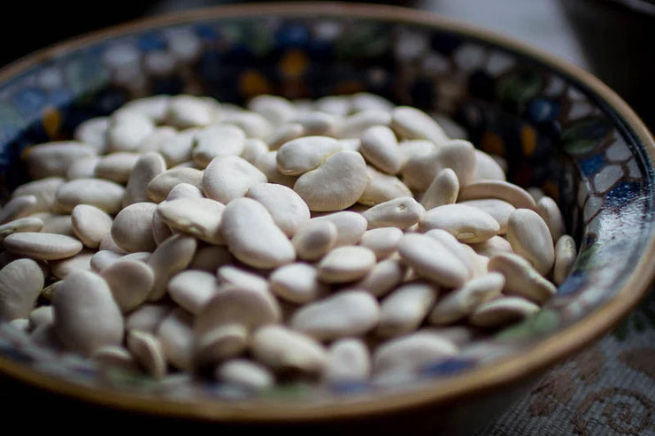 Rancho Gordo - Large White Lima Bean