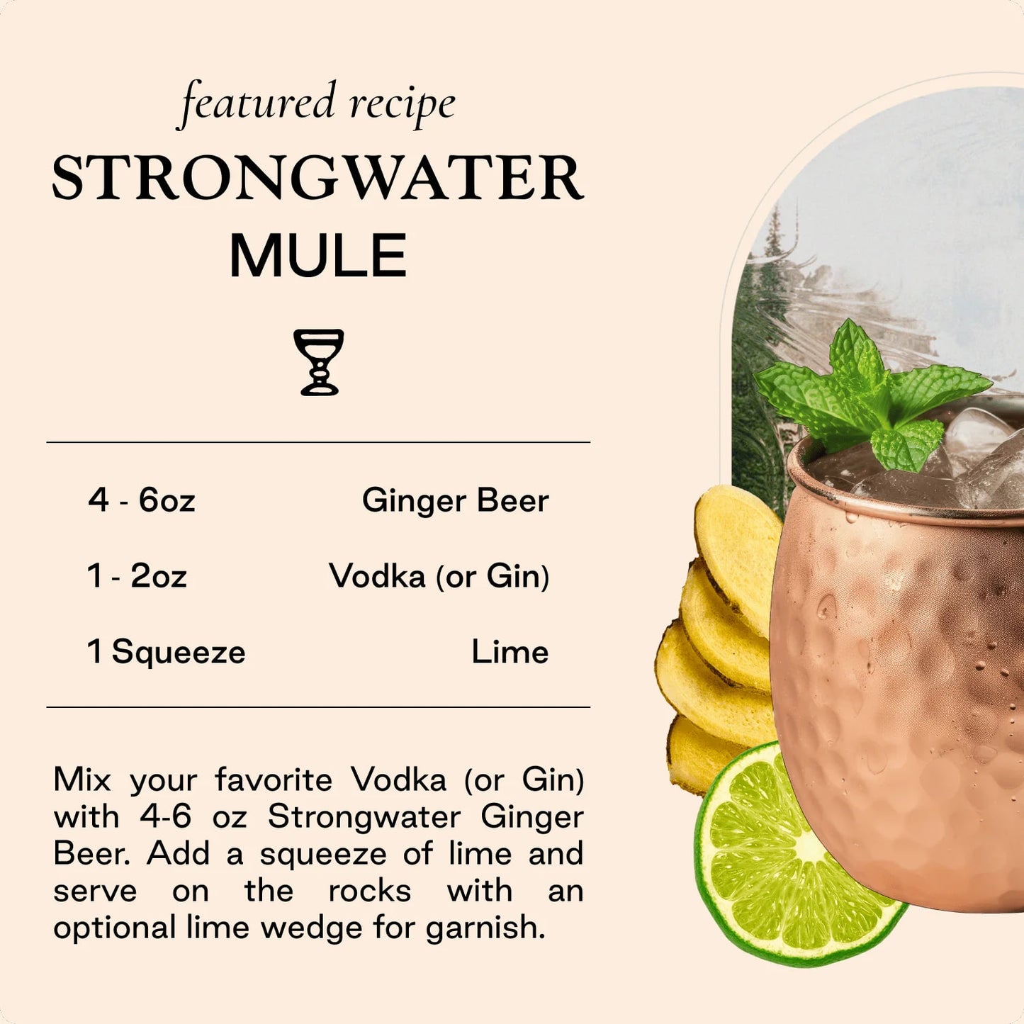 Strongwater - Ginger Beer - 4 pack - 250 mL each