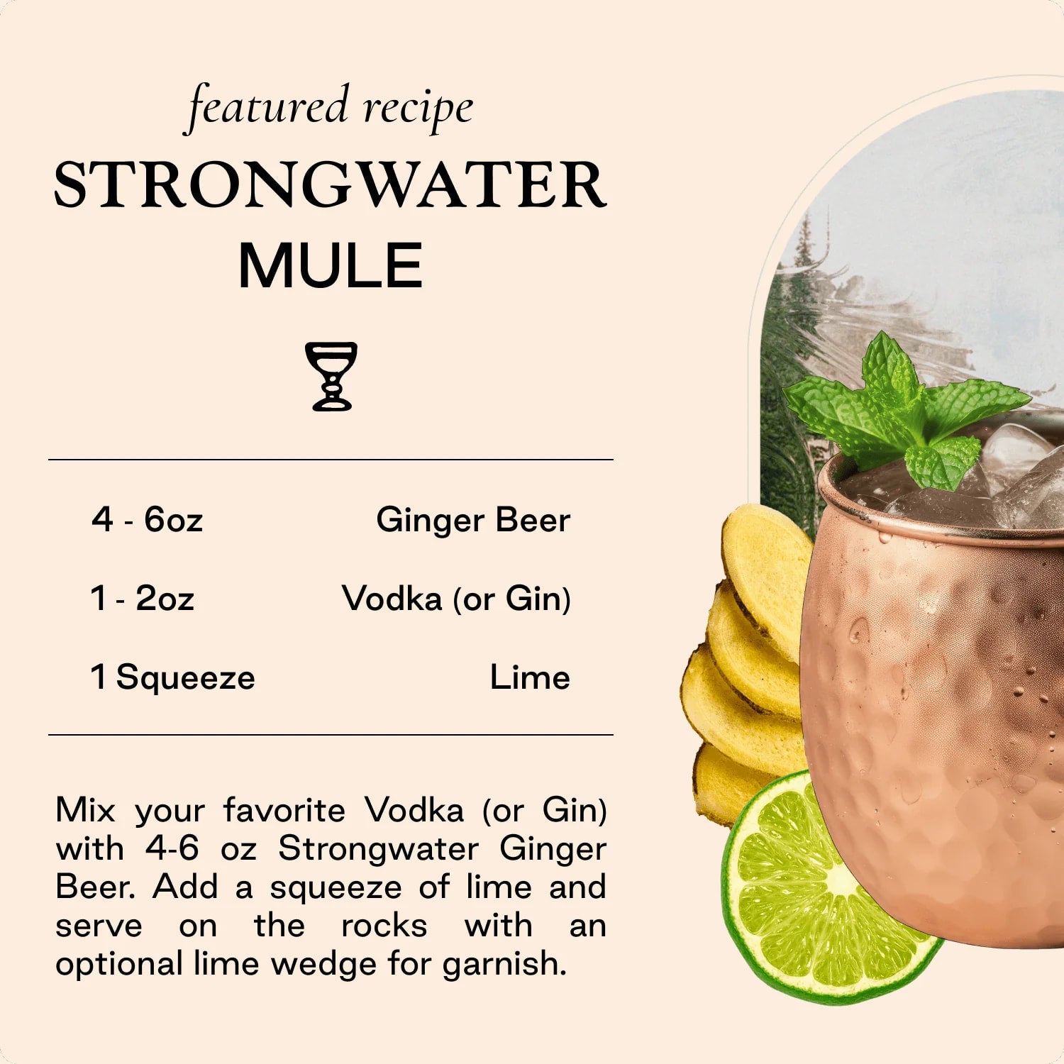 Strongwater - Ginger Beer - 4 pack - 250 mL each