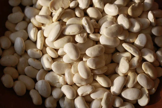 Rancho Gordo - Cassoulet Bean