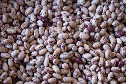 Rancho Gordo - Cranberry Bean