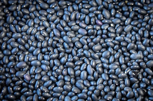Rancho Gordo - Midnight Black Bean