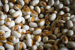 Rancho Gordo - Yellow Eye Bean
