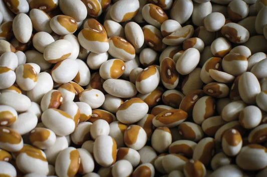 Rancho Gordo - Yellow Eye Bean